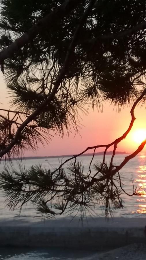 Annamaria Daire Pula Dış mekan fotoğraf